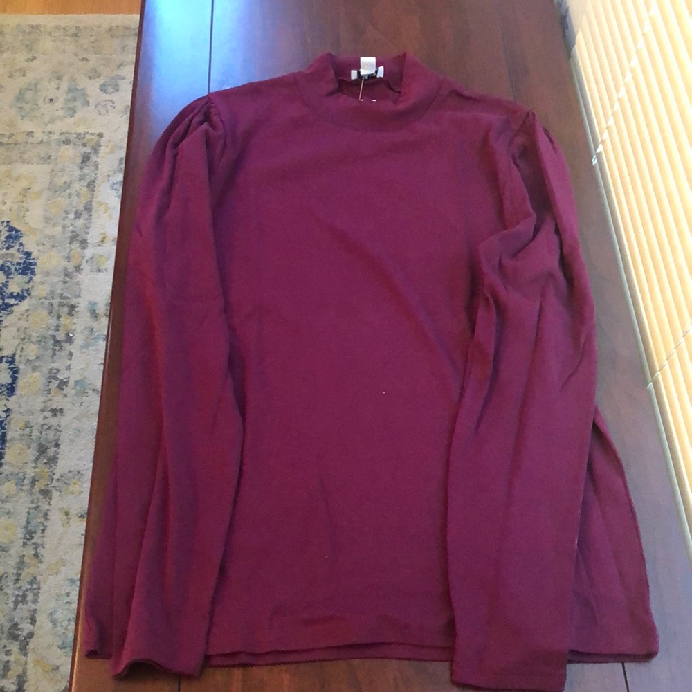 JCrew Majenta Turtleneck Shirt